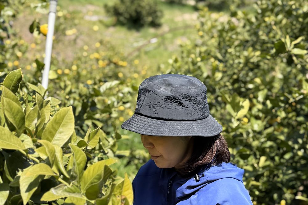 山を背にした畑で収穫する長谷部さん